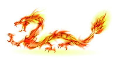 Fire Dragon