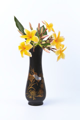 Frangipani flower in a old vase of Asia style.