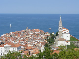 Fototapeta premium The city Piran in Slovenia