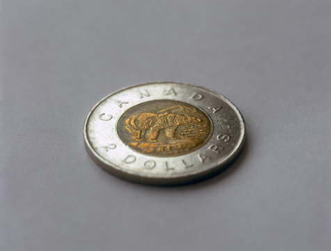 Canadian Two Dollar Coin With Polar Bear.