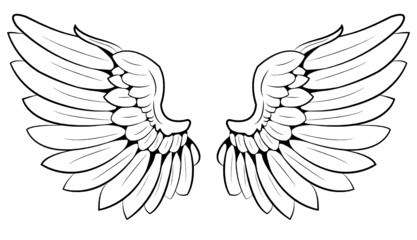 pair of wings