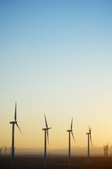 Obraz premium windmills