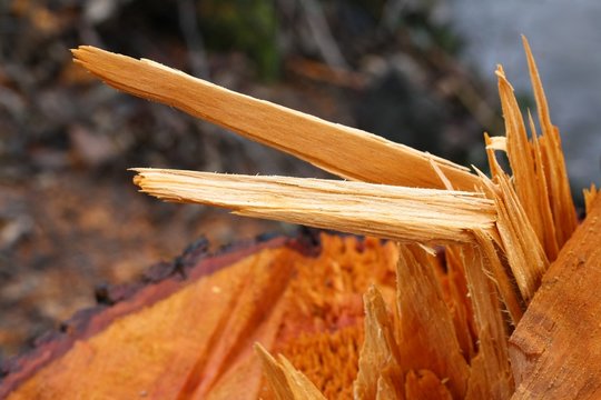 Holzspan