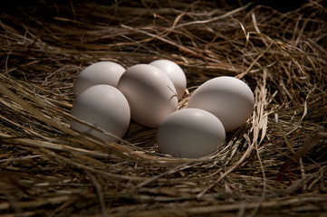 White eggs