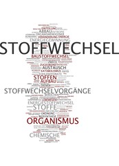 Obraz premium Stoffwechsel