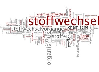 Fototapeta premium Stoffwechsel