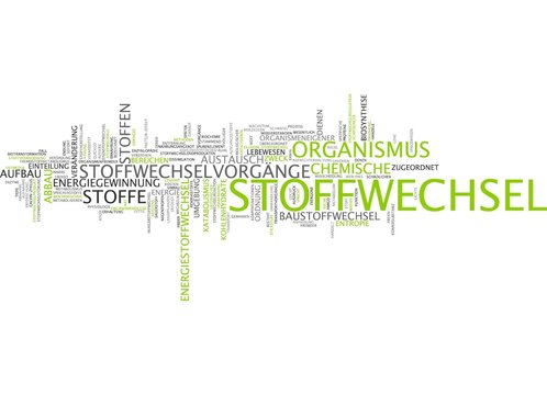 Stoffwechsel