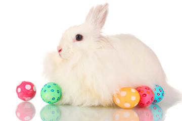 Fluffy white rabbit with eggs isolated on white