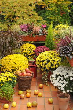 Balkon mit Herbstblumen.