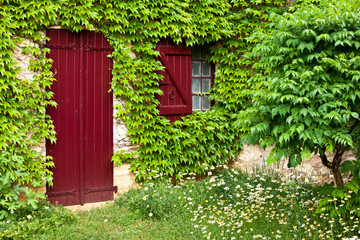 Fototapeta na wymiar Ivy covered painted door and window