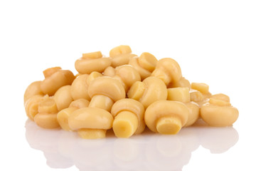 Marinated mushroom isolated on white