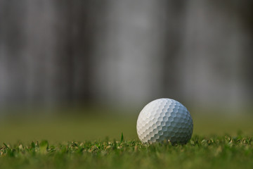 Golf ball on green grass