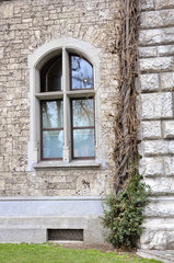 Fototapeta na wymiar ancient castle window