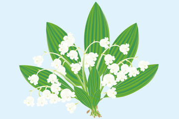 Lily of the valley