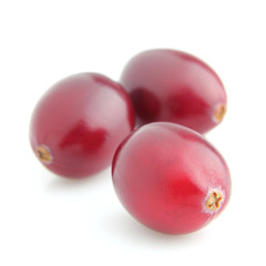 Fresh ripe cranberry