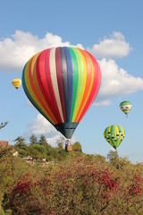 montgolfières au dessus des arbres.