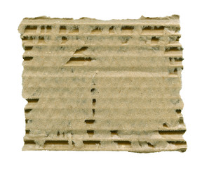 Torn cardboard isolated