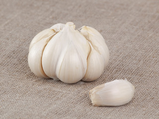 Garlic bulb