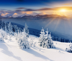 Winter