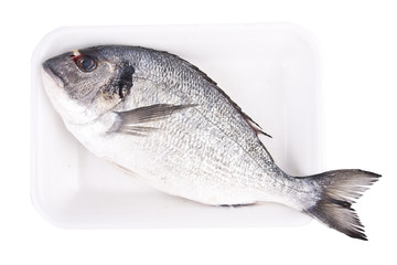 dorada, pescado