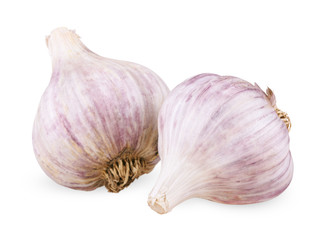 Two purple garlic