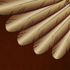 Vector background with golden feathers