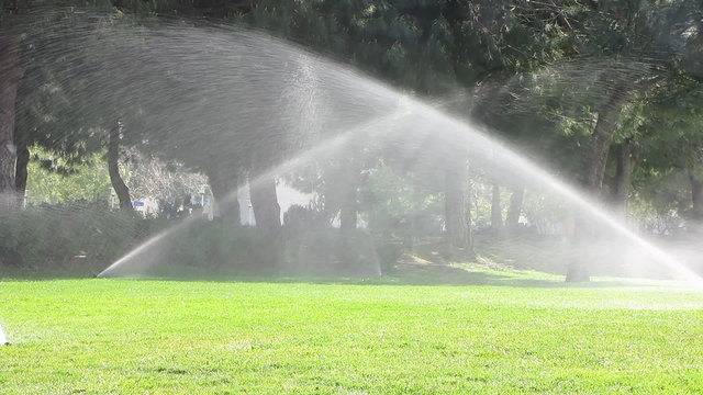 Water sprinkler showering grass in park