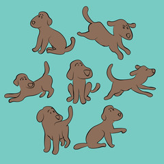 set of cute puppies - isolated illustration