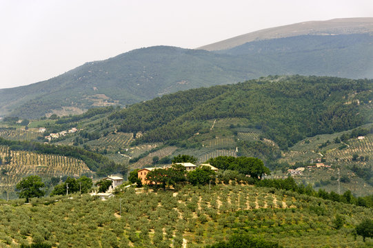 Landscape in Umbria near Foligno