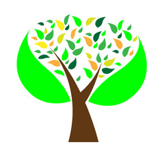 Albero con foglie verde