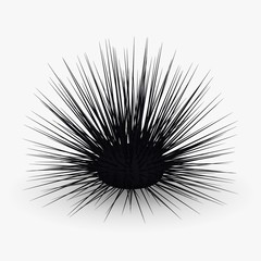 3d render of sea urchin