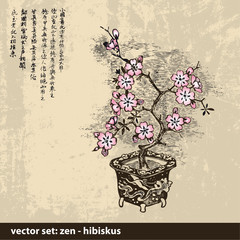 ZEN Hibiskus - Hintergrund - Vektor © Hartmut Lerch