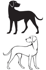 Silhouette and contour dog