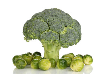 Fresh brussels sprouts and broccoli isolated on white