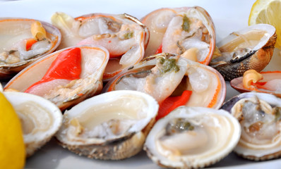 Cockles & smooth clams closeup