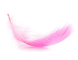 feather
