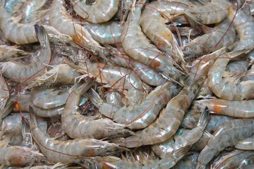 Shrimp on the market in Thailand .