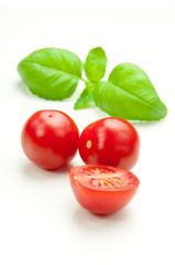 Bazylia i pomidory
