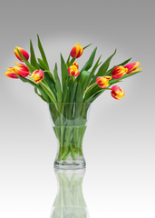 Tulpen in eine Vase aus Glas.