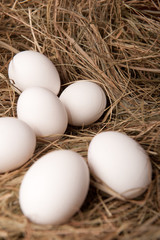 White eggs