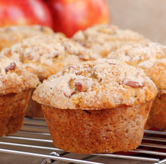 Apple Nut Muffin Closeup