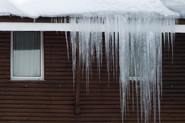 Icicles on window