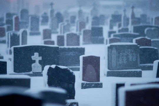 Cemetery in winter