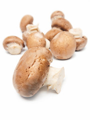 Champignons