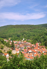 Obraz premium Thüringer Wald bei Bad Liebenstein