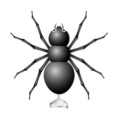 Black spider toy with key isolated on white background