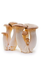 King trumpet. Fresh mushrooms on a white background.