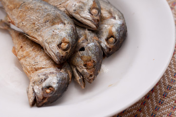 Fried of mackerel fish