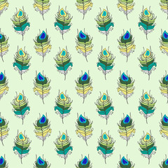 Peacock feathers pattern