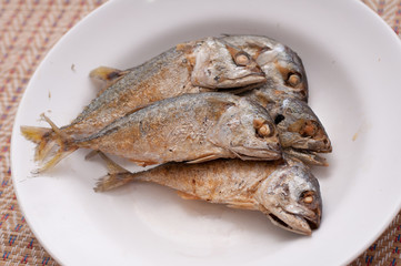 Fried of mackerel fish